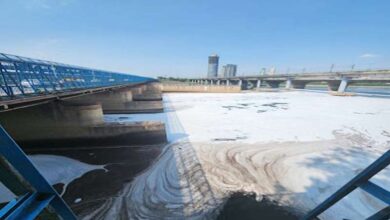 यमुना में जहरीले झाग का ढेर, प्रदूषण का स्तर हाई रिस्क