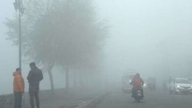 उत्तर भारत में बढ़ी ठंड, दिल्ली और यूपी में कोहरे ने बढ़ाई मुश्किलें।