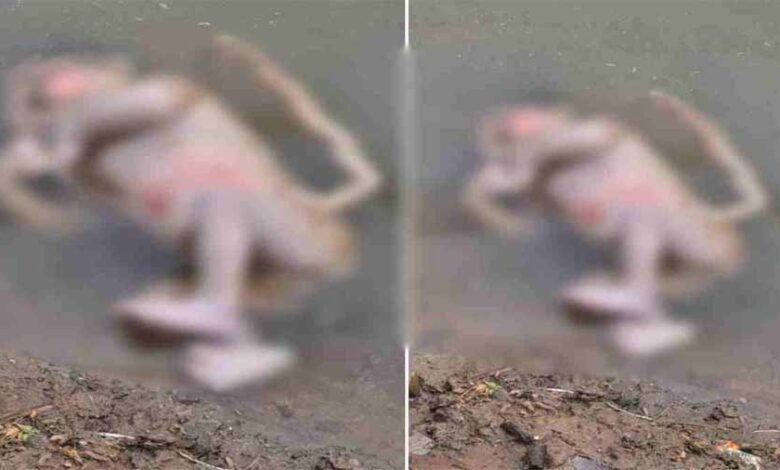 तालाब में मिला नवजात शिशु का शव, ग्रामीणों में आक्रोश तालाब में मिला नवजात शिशु का शव, ग्रामीणों में आक्रोश