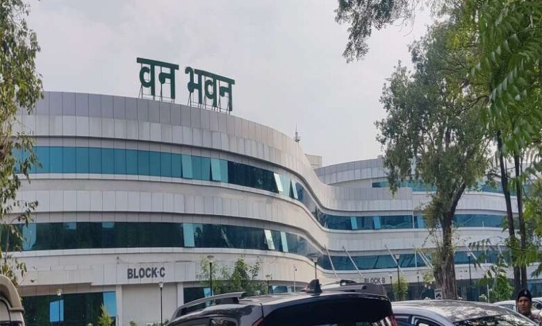 छत्तीसगढ़ को मध्य प्रदेश वन विभाग से मिलेंगे 8 बाघ, प्रस्ताव पर विचार छत्तीसगढ़ को मध्य प्रदेश वन विभाग से मिलेंगे 8 बाघ, प्रस्ताव पर विचार