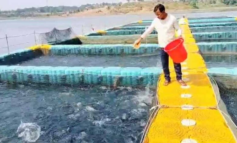 फिशरी साइंस के छात्र रहे गंगाधर मछली पालन से बने लखपति, प्रधानमंत्री मत्स्य सम्पदा योजना का लाभ लेकर शुरू किया मत्स्य पालन फिशरी साइंस के छात्र रहे गंगाधर मछली पालन से बने लखपति, प्रधानमंत्री मत्स्य सम्पदा योजना का लाभ लेकर शुरू किया मत्स्य पालन
