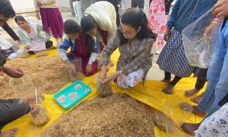 युवाओं को स्वरोजगार से जोड़ने में सहायक होगा मशरूम उत्पादन युवाओं को स्वरोजगार से जोड़ने में सहायक होगा मशरूम उत्पादन