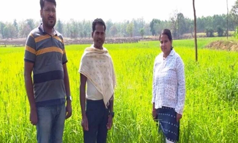 आत्मा योजना : उन्नत कृषि तकनीक को अपनाकर चैतू नेताम बना सफल कृषक आत्मा योजना : उन्नत कृषि तकनीक को अपनाकर चैतू नेताम बना सफल कृषक