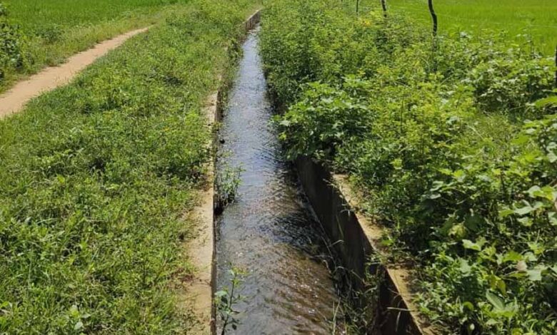 जगतपुर जलाशय योजना : ग्रामीण विकास और खुशहाली का नया आयाम जगतपुर जलाशय योजना : ग्रामीण विकास और खुशहाली का नया आयाम