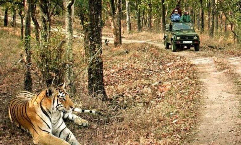 एमपी गो-टू ग्लोबल डेस्टिनेशन्स फॉर-2025 में शामिल एमपी गो-टू ग्लोबल डेस्टिनेशन्स फॉर-2025 में शामिल