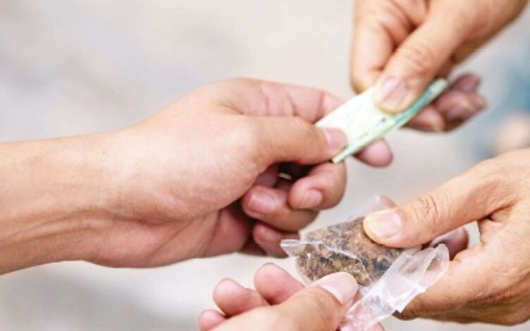 नशे के अवैध कारोबार में लिप्त मिनिबस्ती की लेडी डॉन गिन्नी जांगड़े निकली करोड़ो की आसामी