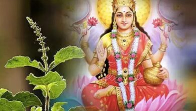 खरमास में इस विधि से करें तुलसी पूजा, खुश हो जाएंगी मां लक्ष्मी, भर-भरा कर बरसाएंगी धन