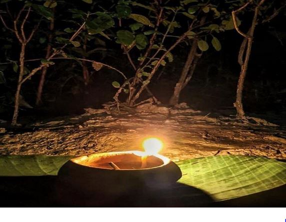 शुद्ध देसी घी न हो..तो घर की तुलसी के पास इस तेल का जलाएं दीया, मां लक्ष्मी होंगी प्रसन्न, दौड़ा आएगा धन! शुद्ध देसी घी न हो..तो घर की तुलसी के पास इस तेल का जलाएं दीया, मां लक्ष्मी होंगी प्रसन्न, दौड़ा आएगा धन!