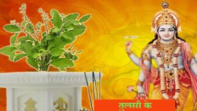 तोड़ना तो दूर इस दिन छुएं भी नहीं तुलसी का पौधा, नहीं तो तरस जाएंगे सुख समृद्धि के लिए!