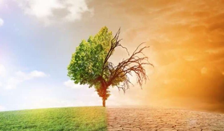 2024 बनने जा रहा है इतिहास का सबसे गर्म साल, वैज्ञानिकों ने जलवायु परिवर्तन को बताया जिम्मेदार 2024 बनने जा रहा है इतिहास का सबसे गर्म साल, वैज्ञानिकों ने जलवायु परिवर्तन को बताया जिम्मेदार