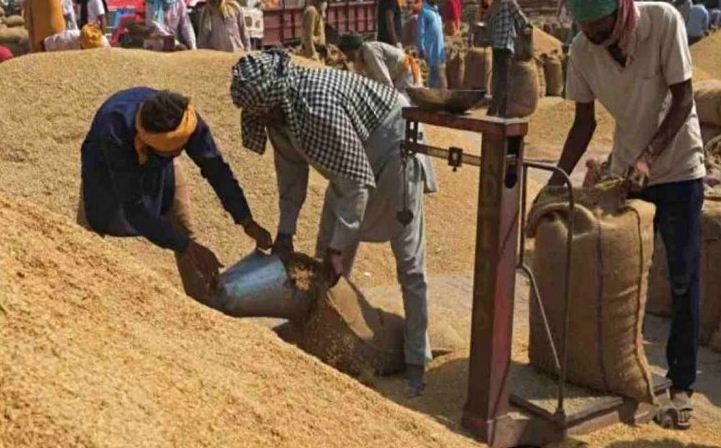 साय सरकार में धान खरीदी तेज रफ्तार से चल रही है : संदीप शर्मा साय सरकार में धान खरीदी तेज रफ्तार से चल रही है : संदीप शर्मा