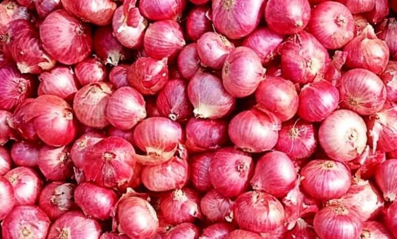 प्याज की कीमतों में भारी गिरावट प्याज की कीमतों में भारी गिरावट