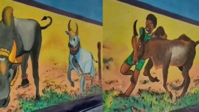 सोहराय पर्व के मौके पर जादोपटिया पेंटिंग से सज रहे आदिवासी घरों की दीवारें