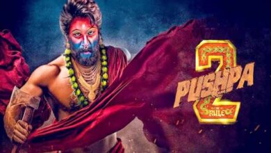 Pushpa 2 BO Collection In Hindi Day 14: ‘पुष्पा 2’ ने 14वें दिन पार किया 600 करोड़ का आंकड़ा