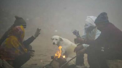 हरियाणा में ठंड का प्रकोप, 6 शहरों का तापमान 5 डिग्री सेल्सियस से नीचे