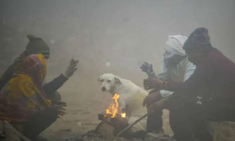 हरियाणा में ठंड का प्रकोप, 6 शहरों का तापमान 5 डिग्री सेल्सियस से नीचे हरियाणा में ठंड का प्रकोप, 6 शहरों का तापमान 5 डिग्री सेल्सियस से नीचे