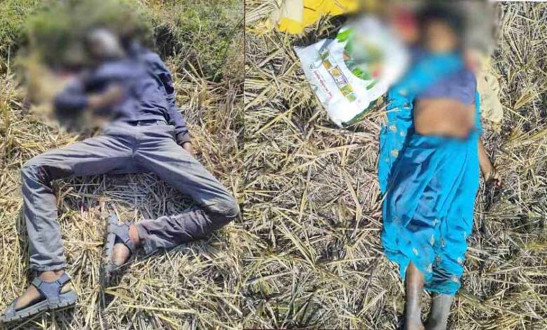 जमीन विवाद को लेकर पत्रकार के मां, पिता और भाई की हत्या जमीन विवाद को लेकर पत्रकार के मां, पिता और भाई की हत्या