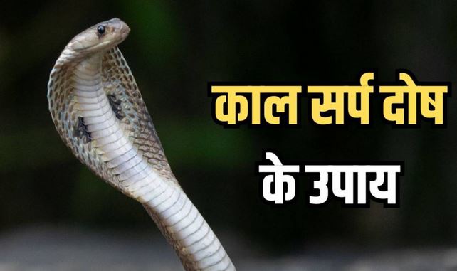 सपने में दिखाई देती हैं विचित्र चीजें, ये संकेत हैं कालसर्प दोष के! जानें इससे छुटकारा पाने के अचूक उपाय सपने में दिखाई देती हैं विचित्र चीजें, ये संकेत हैं कालसर्प दोष के! जानें इससे छुटकारा पाने के अचूक उपाय