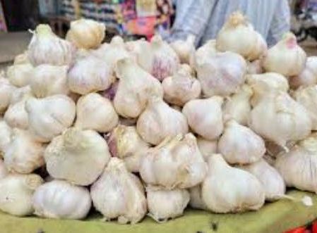 लहसुन की नीलामी में चलेगी किसानों की मर्जी लहसुन की नीलामी में चलेगी किसानों की मर्जी