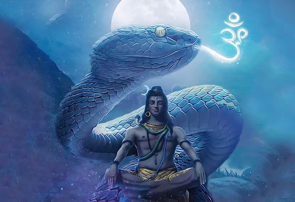 कौन सा है वह सांप जो शंकर जी के गले में दिखता है, कहां है उसका मंदिर? कौन सा है वह सांप जो शंकर जी के गले में दिखता है, कहां है उसका मंदिर?