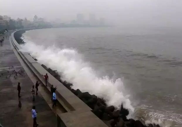 मुंबई में समुद्र पर कोहरा छाने से मछलियां गर्म पानी तलाश में मीलों दूर गईं मुंबई में समुद्र पर कोहरा छाने से मछलियां गर्म पानी तलाश में मीलों दूर गईं