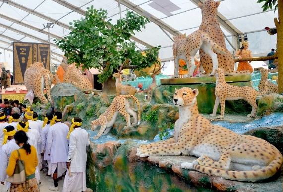राजपथ पर दिखेगी मप्र में चीतों की ऐतिहासिक पुनस्र्थापना की झलक राजपथ पर दिखेगी मप्र में चीतों की ऐतिहासिक पुनस्र्थापना की झलक