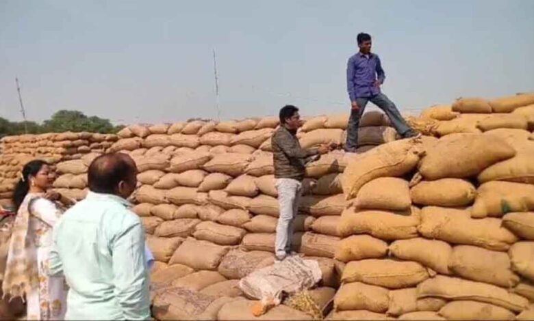 छत्तीसगढ़-धान खरीदी का आंकड़ा 145 लाख मीट्रिक टन के पार, 29 हजार 599 करोड़ रूपए का किया भुगतान छत्तीसगढ़-धान खरीदी का आंकड़ा 145 लाख मीट्रिक टन के पार, 29 हजार 599 करोड़ रूपए का किया भुगतान
