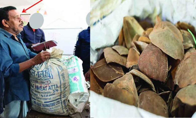 छत्तीसगढ़-जगदलपुर में तीन पेंगोलिन तस्कर पकड़ाए, 43 किलो स्केल्स बरामद छत्तीसगढ़-जगदलपुर में तीन पेंगोलिन तस्कर पकड़ाए, 43 किलो स्केल्स बरामद