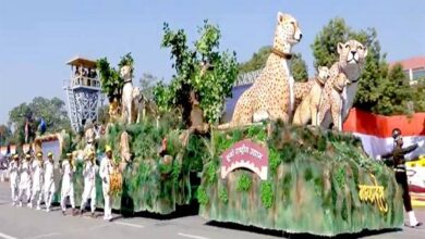 चीतों की ऐतिहासिक पुनर्स्थापना से हम गौरवान्वित: डॉ.यादव