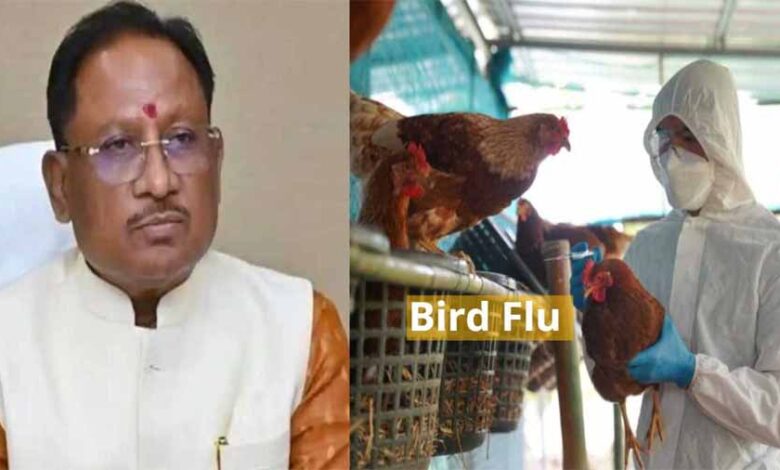 मुख्यमंत्री ने बर्ड फ्लू की रोकथाम के लिए कलेक्टरों को दिए दिशा निर्देश मुख्यमंत्री ने बर्ड फ्लू की रोकथाम के लिए कलेक्टरों को दिए दिशा निर्देश