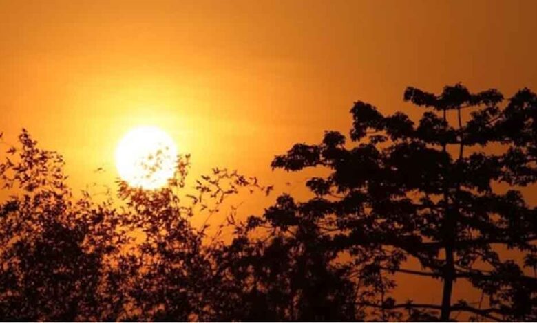 छत्तीसगढ़ में रात का पारा बढ़ने से ठंड गायब, चुभने लगी धूप छत्तीसगढ़ में रात का पारा बढ़ने से ठंड गायब, चुभने लगी धूप