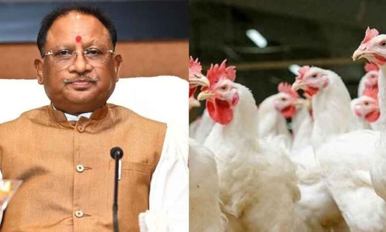 छत्तीसगढ़-रायगढ़ में मिला बर्ड फ्लू का केस, सीएम साय ने रोकथाम के दिए दिशा निर्देश छत्तीसगढ़-रायगढ़ में मिला बर्ड फ्लू का केस, सीएम साय ने रोकथाम के दिए दिशा निर्देश