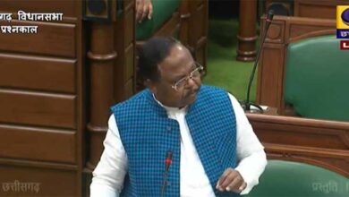 बजट सत्र में मंत्री नेताम बोले- सामुदायिक पट्टा प्राप्त समितियों को भी मिलेगी अधिग्रहित क्षेत्र में वन कटाई की पूरी राशि