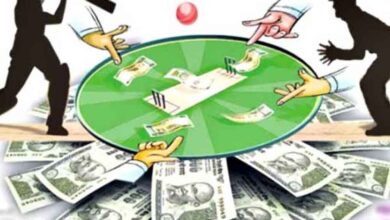 IPL 2025: बिलासपुर की हर गलियों में सटोरिए सक्रिय, क्रिकेट पर लगा रहे दांव