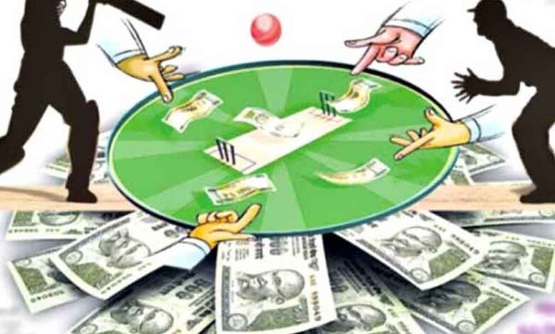 IPL 2025: बिलासपुर की हर गलियों में सटोरिए सक्रिय, क्रिकेट पर लगा रहे दांव