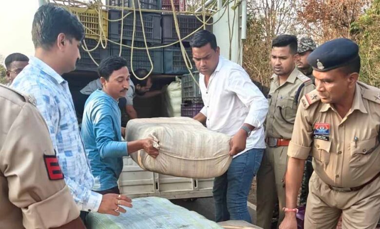 सब्जी कैरेट के नीचे छुपाकर ले जा रहे 243 किलो गांजा जप्त सब्जी कैरेट के नीचे छुपाकर ले जा रहे 243 किलो गांजा जप्त