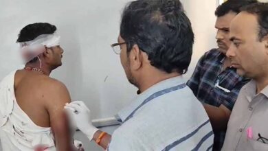 तखतपुर में किसान पर शेर ने किया हमला, उपचार के लिए सिम्स किया गया रेफर