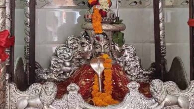 रंग पंचमी पर निकलेगी शिवजी की बारात, हसदेव नदी में नागा साधु करेंगे शाही स्नान