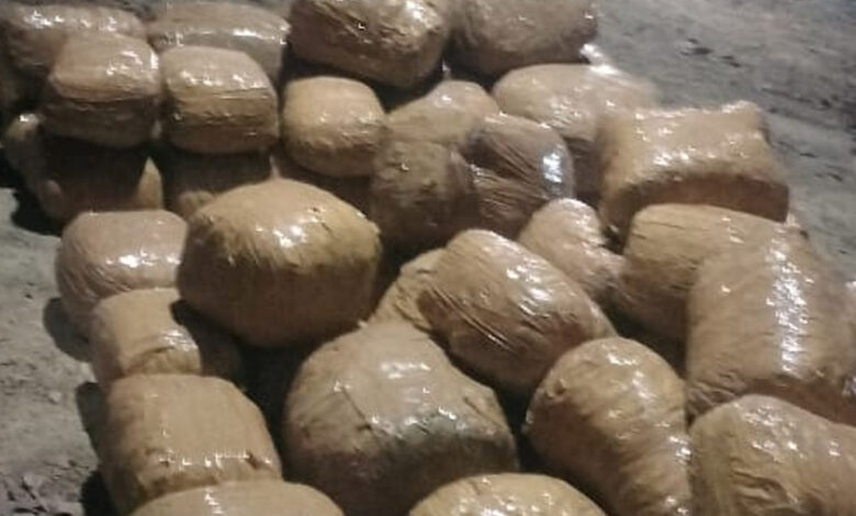 कोरबा पुलिस की कार्रवाई, ट्रक से एक करोड़ रुपये का गांजा जब्त, चालक गिरफ्तार कोरबा पुलिस की कार्रवाई, ट्रक से एक करोड़ रुपये का गांजा जब्त, चालक गिरफ्तार