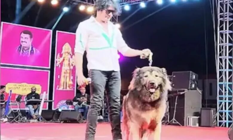 ये है दुनिया का सबसे महंगा डॉग, कीमत जानकर उड़ जाएंगे होश