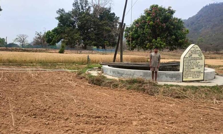 मनरेगा से बने कुएं से रामलाल के खेतों में लहलहाया फसल