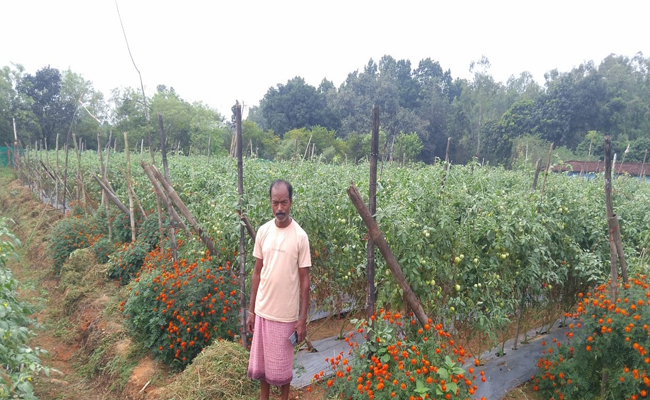 मुख्यमंत्री श्री विष्णु के सुशासन में लोगों को मिल रहा शासकीय योजनाओं का लाभ