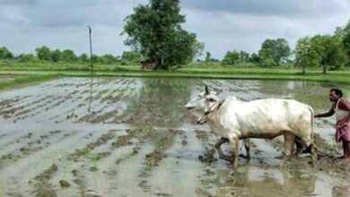 छत्तीसगढ़ में असमय मानसून की एंट्री से ‘खेती पर खतरा’