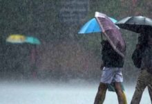 CG में चार दिन पहले दस्तक देगा मानसून, टूटेगा 16 साल का रिकॉर्ड