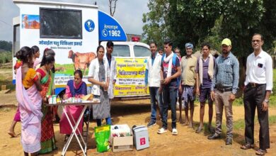 रायपुर : मुख्यमंत्री विष्णु देव साय के नेतृत्व में जन कल्याणकारी योजनाओं का हो रहा धरातल पर सफल क्रियान्वयन