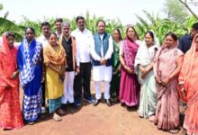 CM पहुंचे उत्कृष्ट किसान रोहित साहू के खेतों में: केला और पपीता की खेती से कमा रहे लाखों का मुनाफा, 20 लोगों को अपने खेत में दे रहे रोजगार