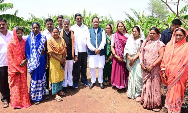 CM पहुंचे उत्कृष्ट किसान रोहित साहू के खेतों में: केला और पपीता की खेती से कमा रहे लाखों का मुनाफा, 20 लोगों को अपने खेत में दे रहे रोजगार CM पहुंचे उत्कृष्ट किसान रोहित साहू के खेतों में: केला और पपीता की खेती से कमा रहे लाखों का मुनाफा, 20 लोगों को अपने खेत में दे रहे रोजगार