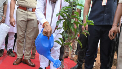 CG NEWS- सुशासन तिहार कार्यक्रम के अंतर्गत अधिकारियों की समीक्षा: मुख्यमंत्री ने किया आम का पौधारोपण, पर्यावरण संरक्षण का दिया संदेश….
