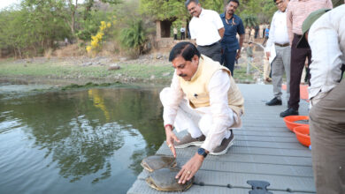 MP News- वन विहार में कछुओं की वापसी: मुख्यमंत्री डॉ. यादव ने किया पुनर्वास कार्यक्रम का शुभारंभ…