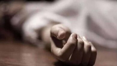 दंतैल हाथी ने युवक को कुचलकर मौत के घाट उतारा